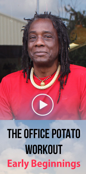 Early Beginnings video image